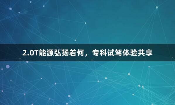 2.0T能源弘扬若何，专科试驾体验共享